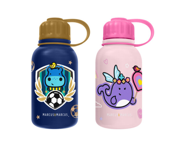 Stainless Steel Insulated Water Bottle